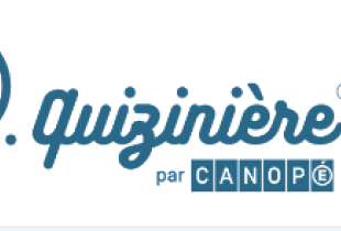 quiziniere